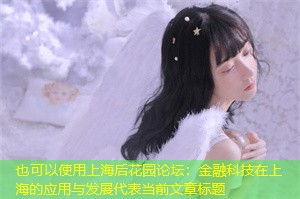 金融科技在上海的应用与发展 金融科技在上海的应用与发展